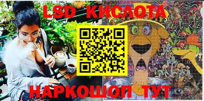 прущие крисы Будённовск