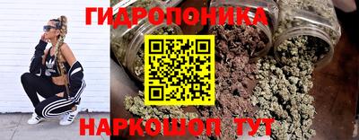 прущие крисы Будённовск