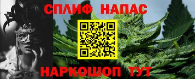 прущие крисы Будённовск