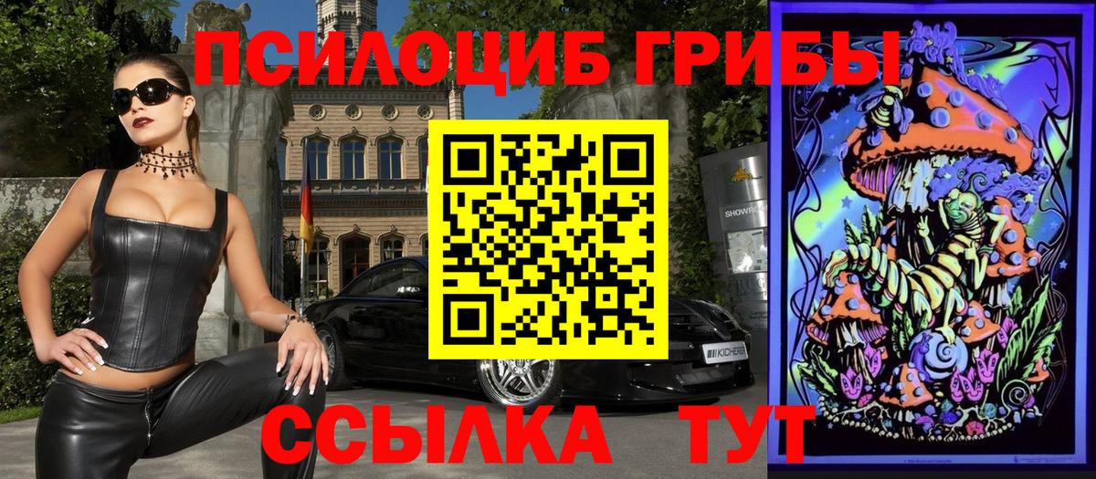 Галлюциногенные грибы Psilocybine cubensis Салехард