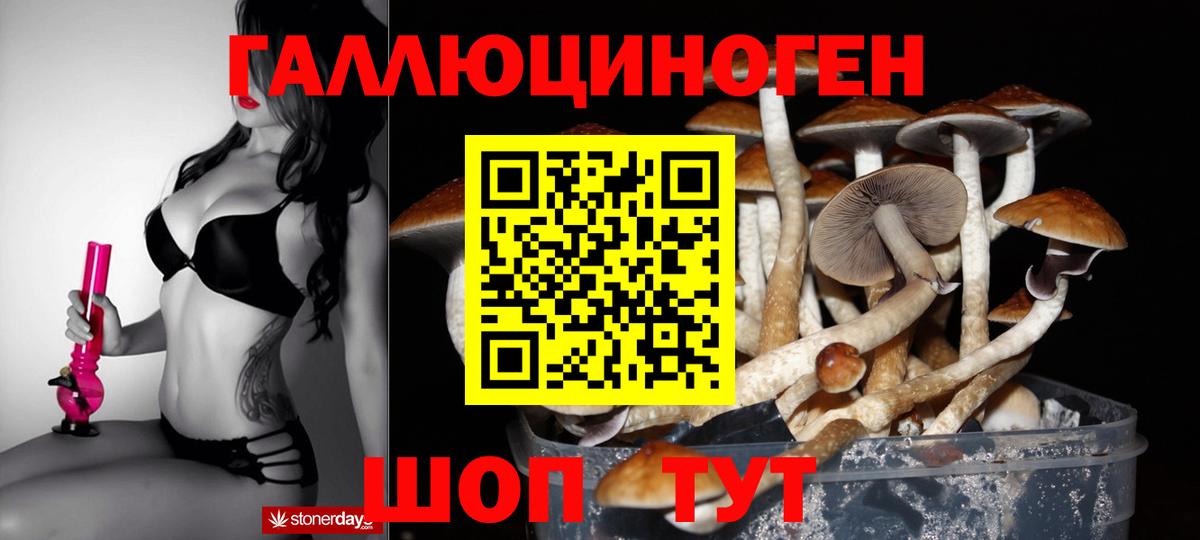 Галлюциногенные грибы Psilocybine cubensis  Вход с VPN  Галлюциногенные грибы ЛСД  Салехард 